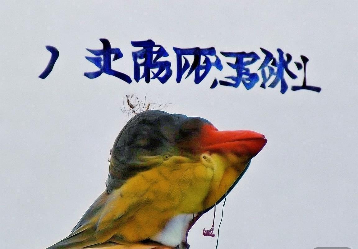 巴塞罗那VS巴黎圣日耳曼：巅峰对决，荣耀传承之战